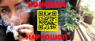 прущие грибы Татарск