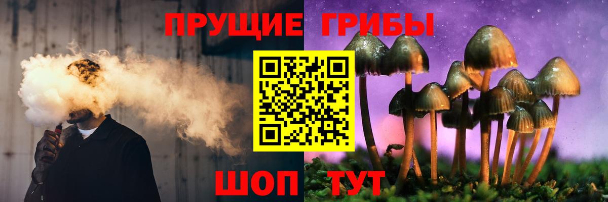 Новороссийск  Галлюциногенные грибы Cubensis  Вход с VPN  Псилоцибиновые грибы мицелий 